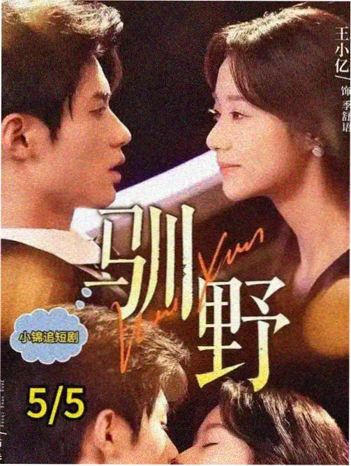 沉默的真相缩略图